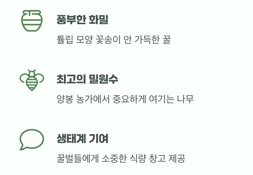 꿀벌들의 천국, 최고의 '밀원수'