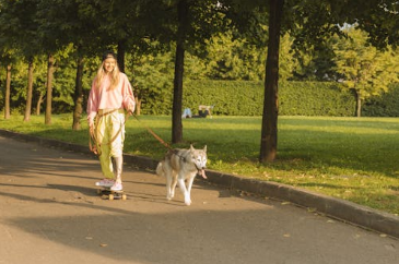 반려견 산책 관련 사진