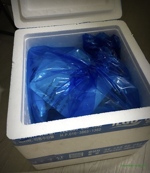 일구수산 개별 냉동 통영 굴 (2021년 12월 구입, 2022년 1~9월 리뷰) 배송 상태