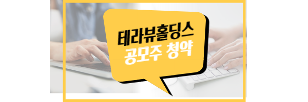 테라뷰홀딩스 공모주