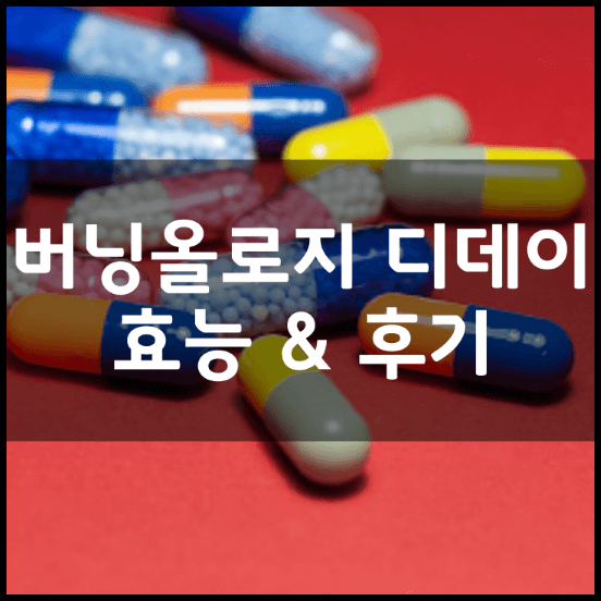 버닝올로지-디데이-썸네일