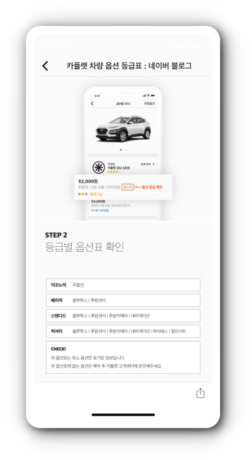 등급별 옵션표 확인