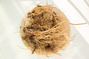 우슬뿌리 효능은 관절에 좋은 대표적인 약재입니다.