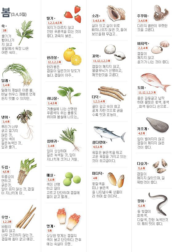 제철코어 계절음식