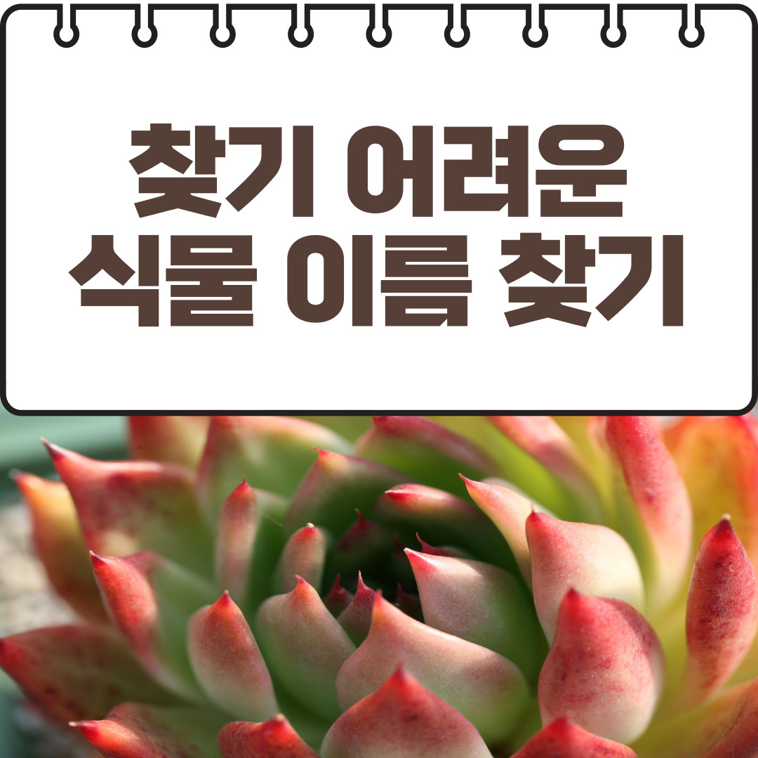 식물이름 찾기로 못 찾는 식물 찾기