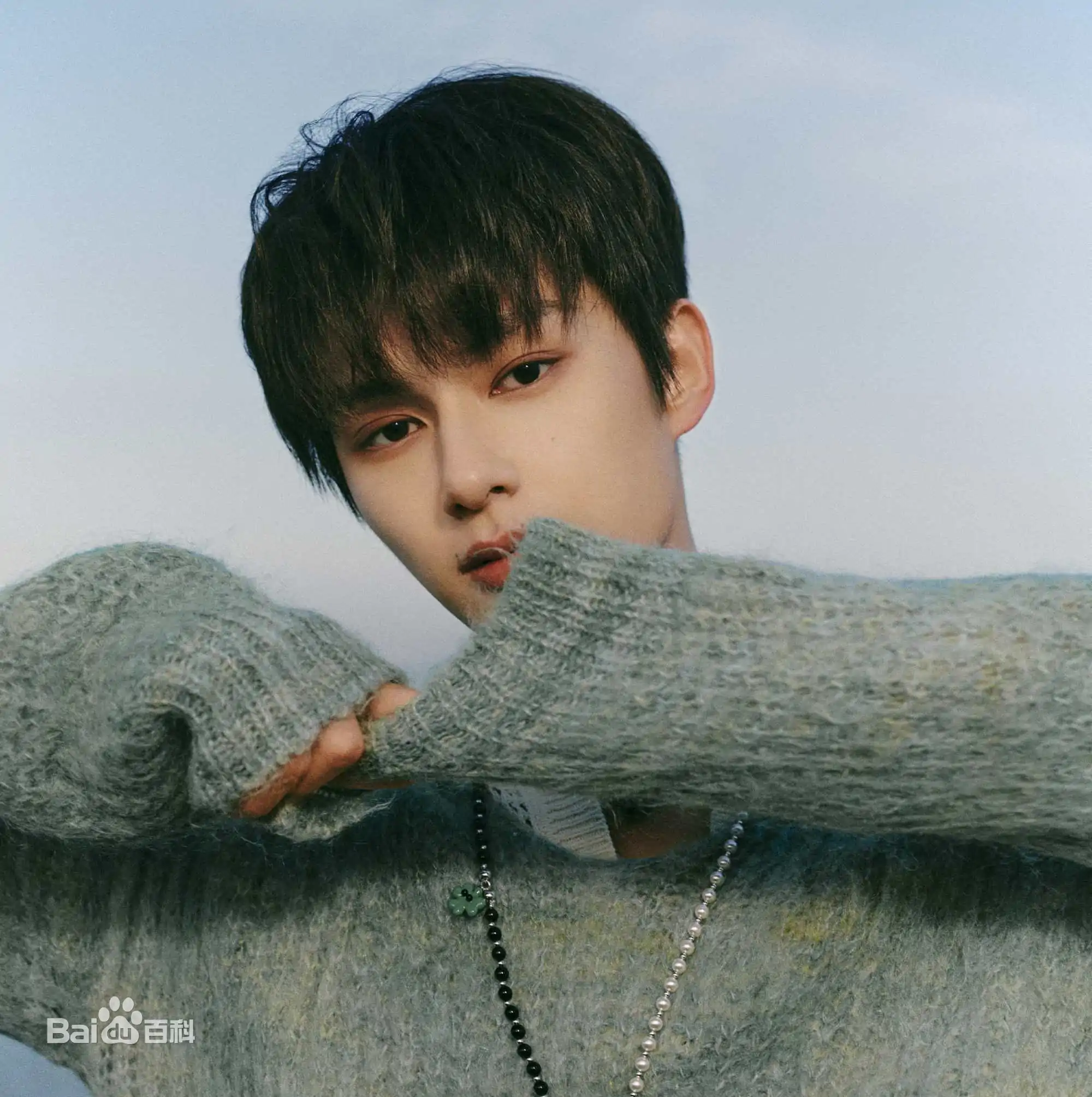 꽃미남-독가동화