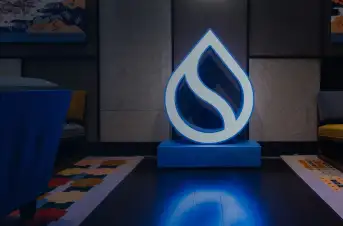 수이 코인 전망