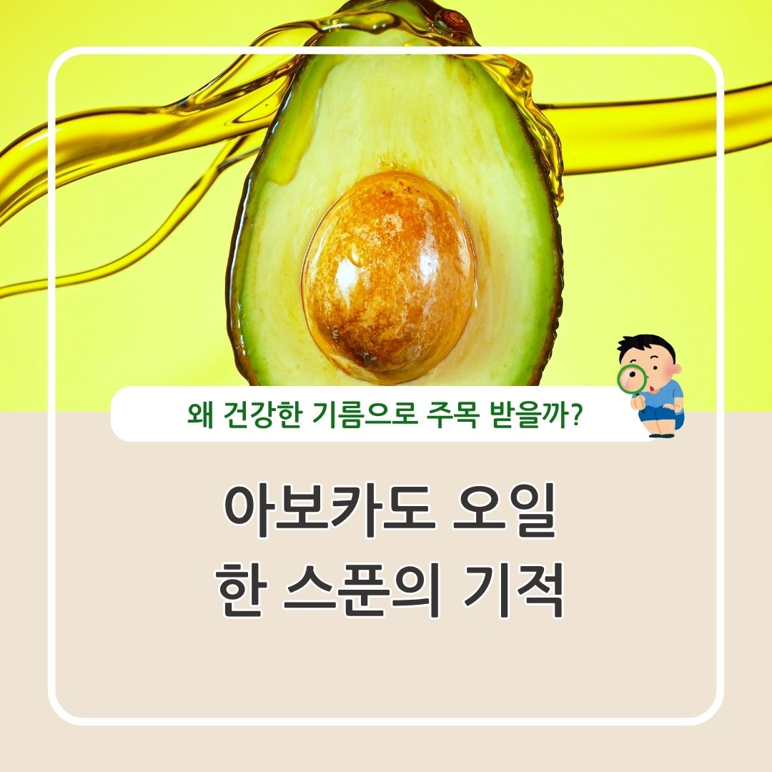 아보카도 오일 효능