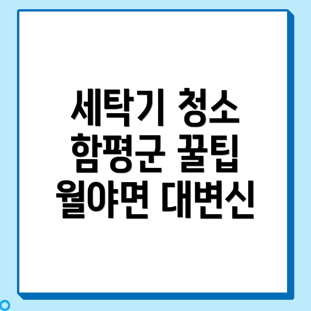 세탁기 청소