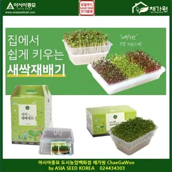 새싹무 재배 씨앗 소독 얇게 파종 통풍 관리_32