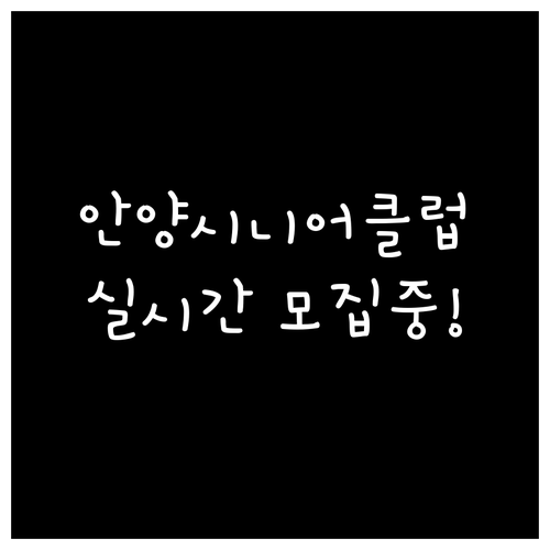 안양 동안구 시니어클럽 실시간 모집 ..
