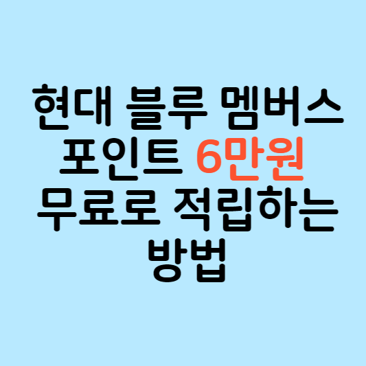 현대 블루 멤버스 포인트 6만원 무료로 적립하는 방법