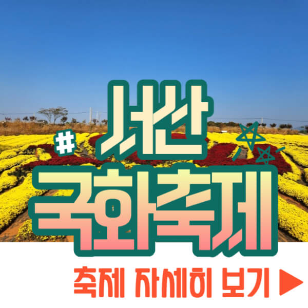 서산 국화축제 자세히 보기