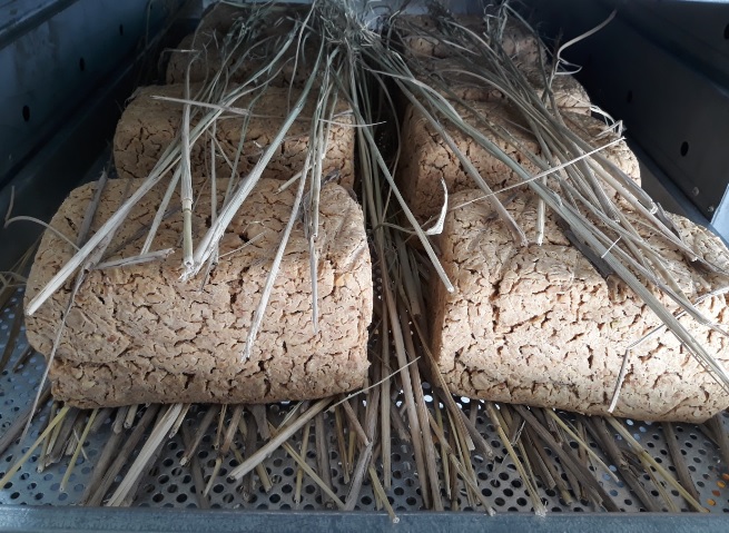 오늘N 이 맛에 산다 부안 부건농장 직거래 농산물 절임배추 고추가루 김장김치재료