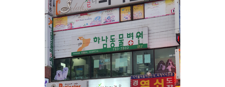 하남시 동물병원