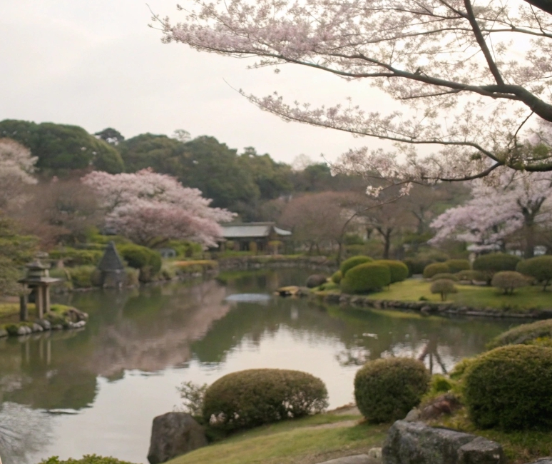 내남편과결혼해줘 일본판, tvn 드라마 방영, 등장인물·결말·재방송 총정리