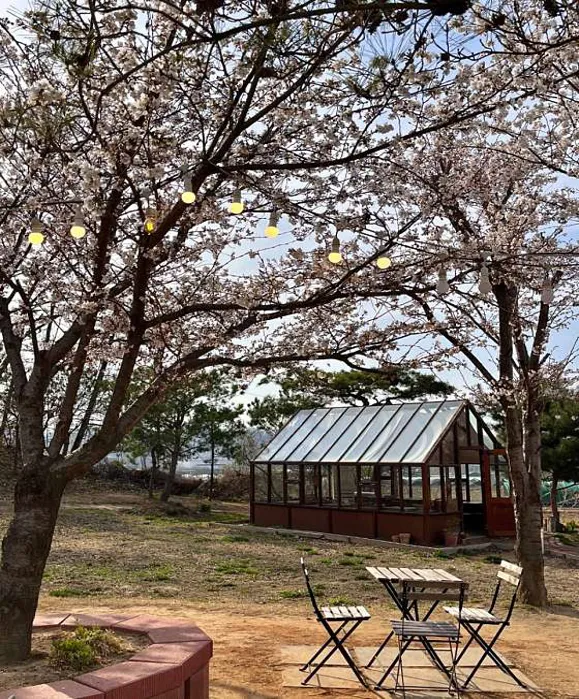 이숲