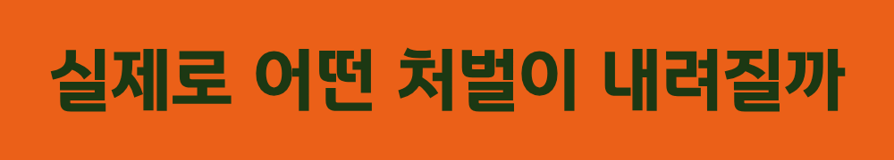 2. 실제로 어떤 처벌이 내려질까