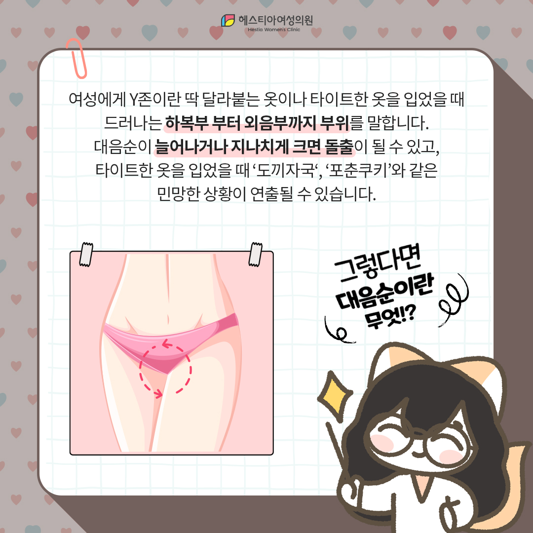 y존이란