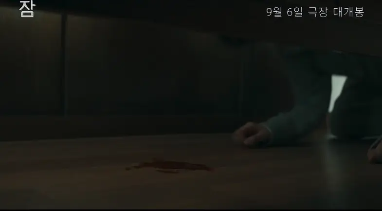 영화 잠 줄거리 평점 후기