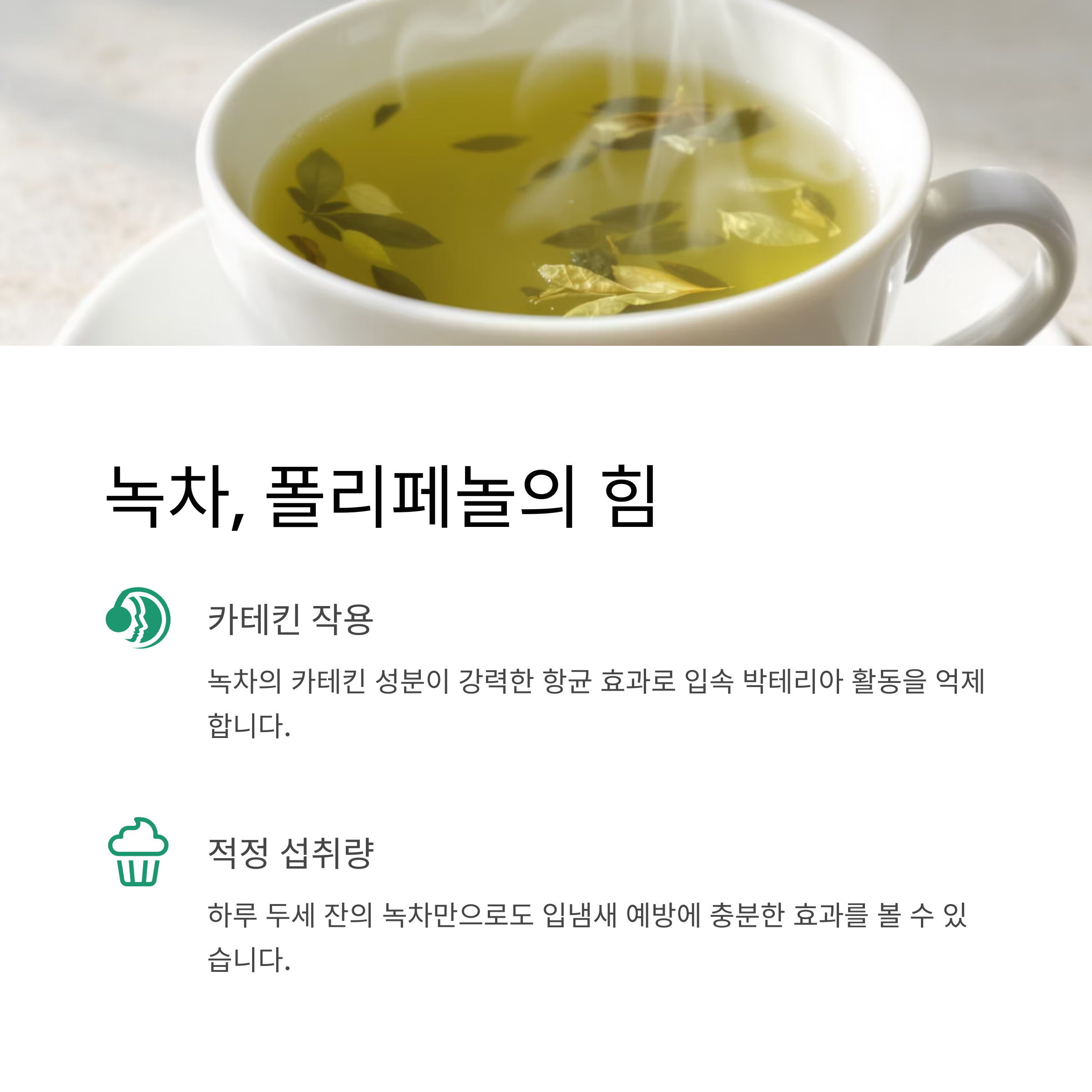 녹차 폴리페놀