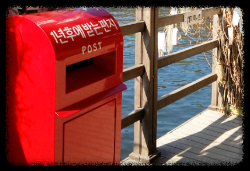 명성산 억새축제 경기도 가을여행지 데이트 추천 (2023)