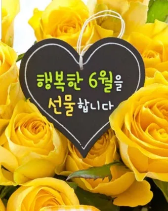 6월 인사말 모음집 이미지 문구 이미지 모음_3