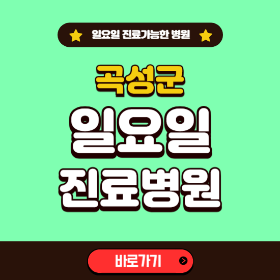 곡성군 일요일 진료 가능한 병원 ❘ 주말 문여는 곳 총정리 (소아과, 내과, 안과, 치과, 피부과, 정형외과, 산부인과)