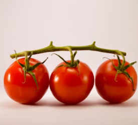 토마토 효능 부작용 고르는법 칼로리