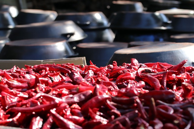 전통 요리 한식, 세계가 사랑하는 한국의 맛