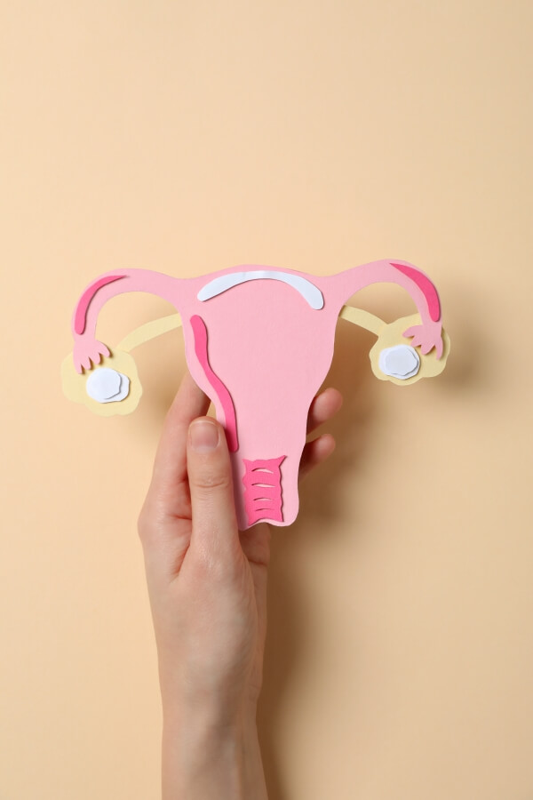 자궁내막증 치료제의 종류와 효과 – 프로게스틴부터 GnRH 작용제까지