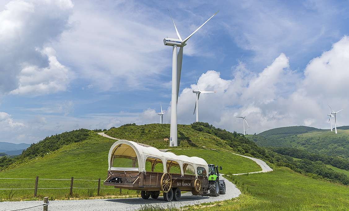 대관령 눈꽃축제 주변 관광지