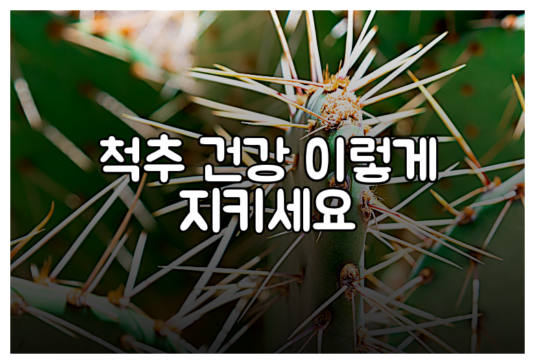 척추 건강 이렇게 지키세요