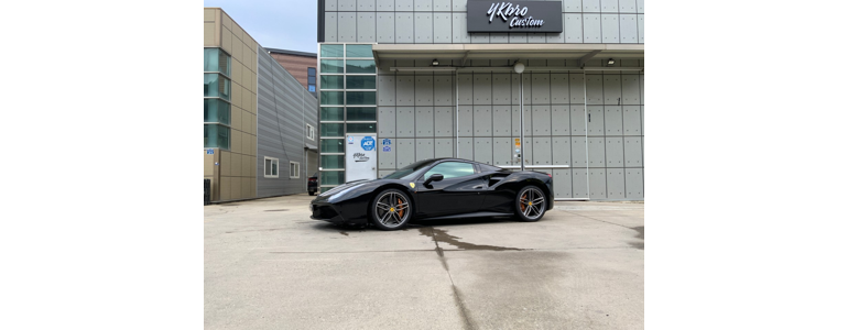 고양 일산동구 ppf