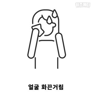 갱년기 증상
