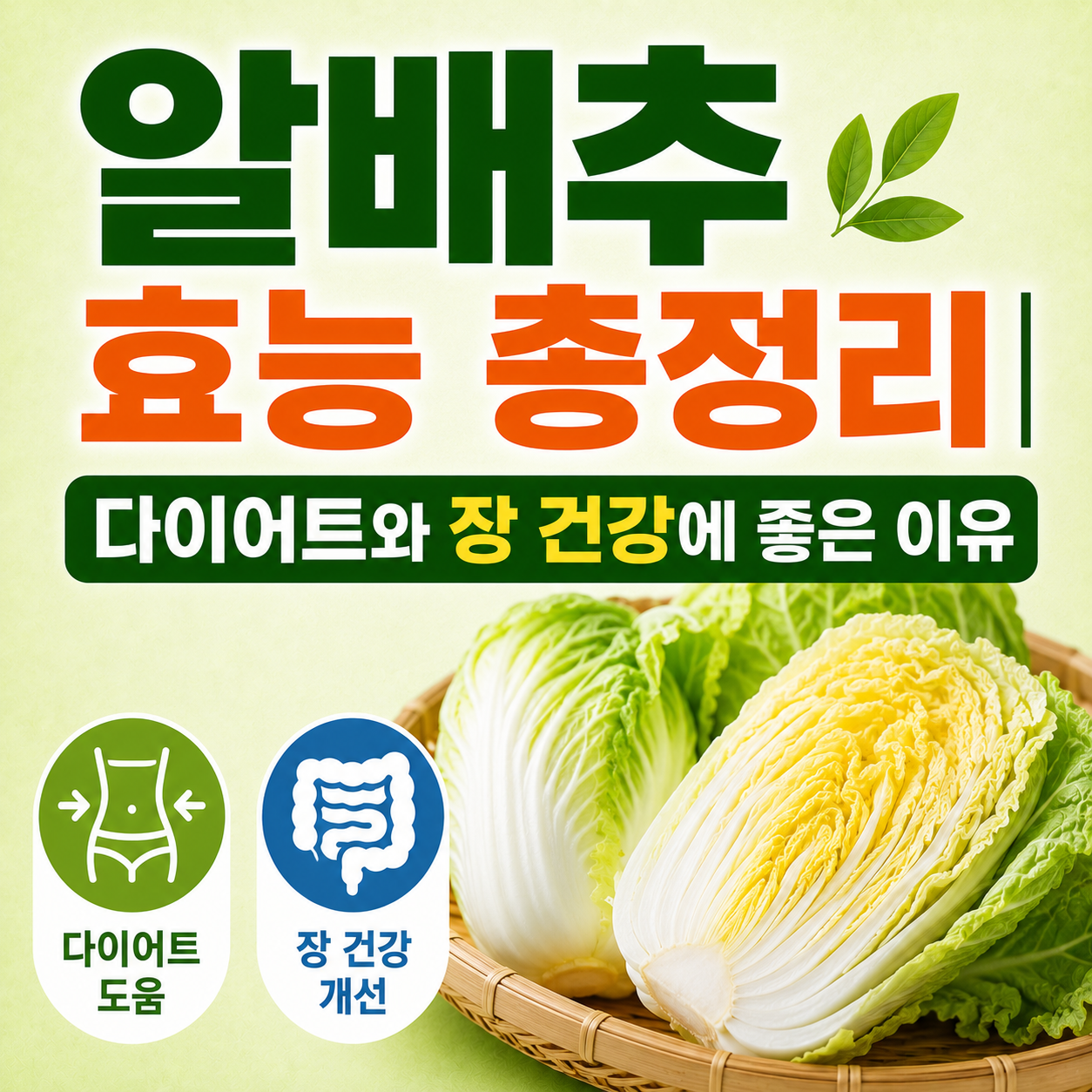 알배추 효능