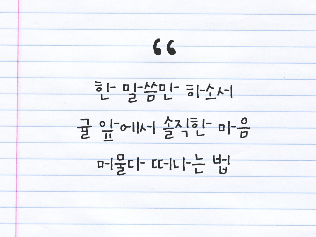 2026년 2월 24일 피어나네 감사노트｜일상을 행복으로 바꾸는 기록 하루 3줄 감사일기