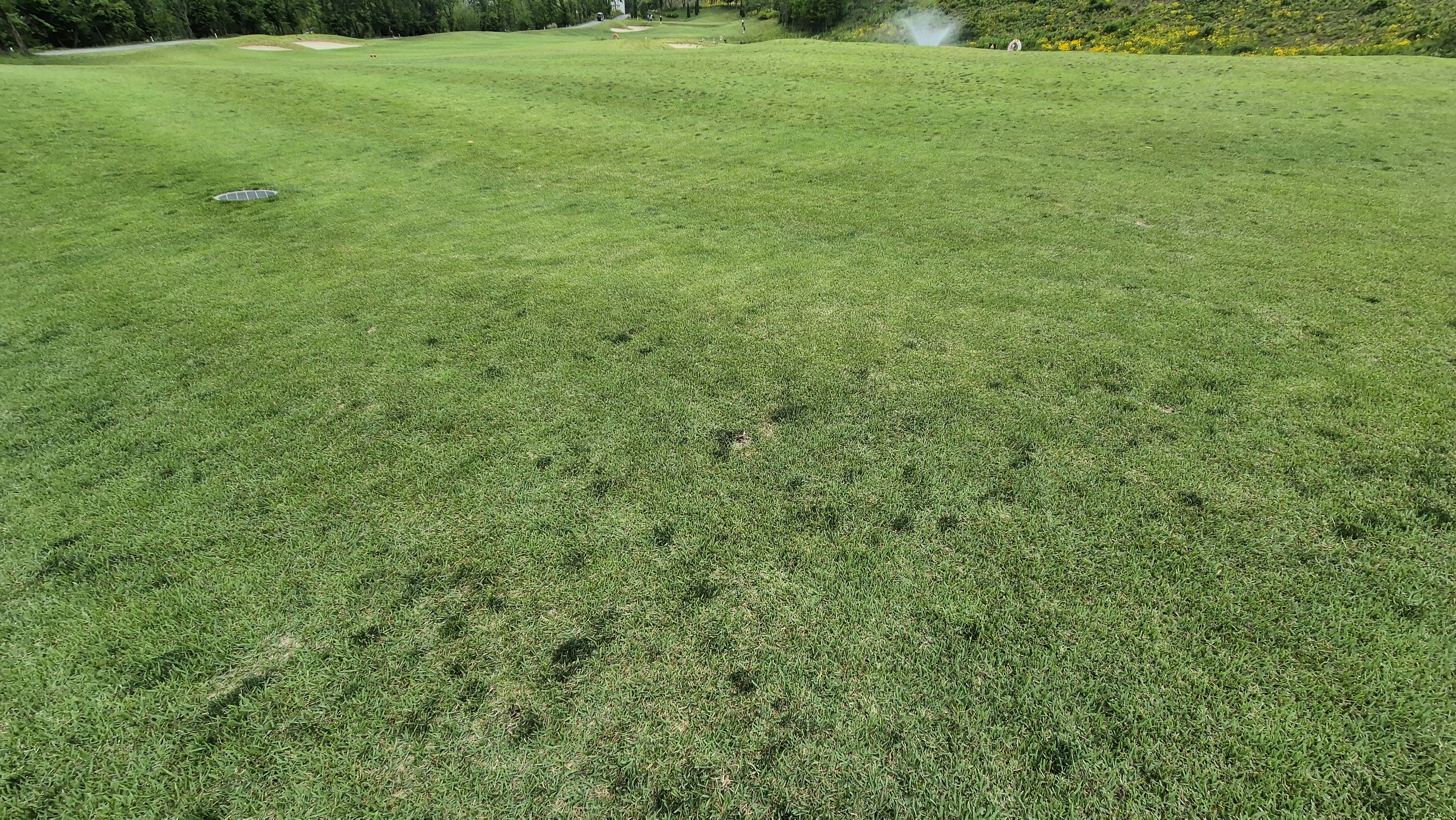 샴발라cc 라운드 후기