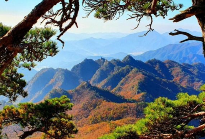 2025 가을 경상도 단풍 명소 산행 추천 ❘ 주왕산&middot;가야산&middot;팔공산 절정 시기