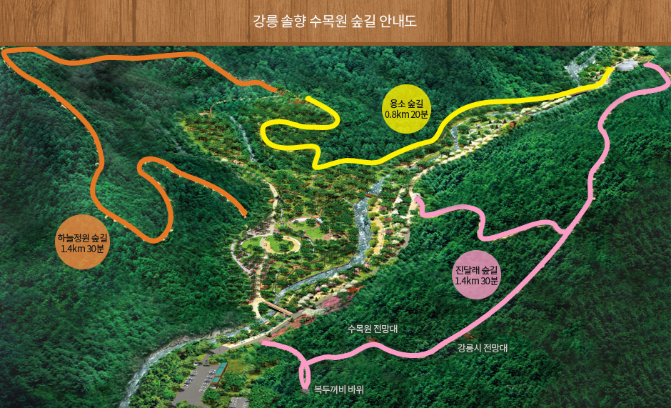 강릉솔향수목원 안내도
