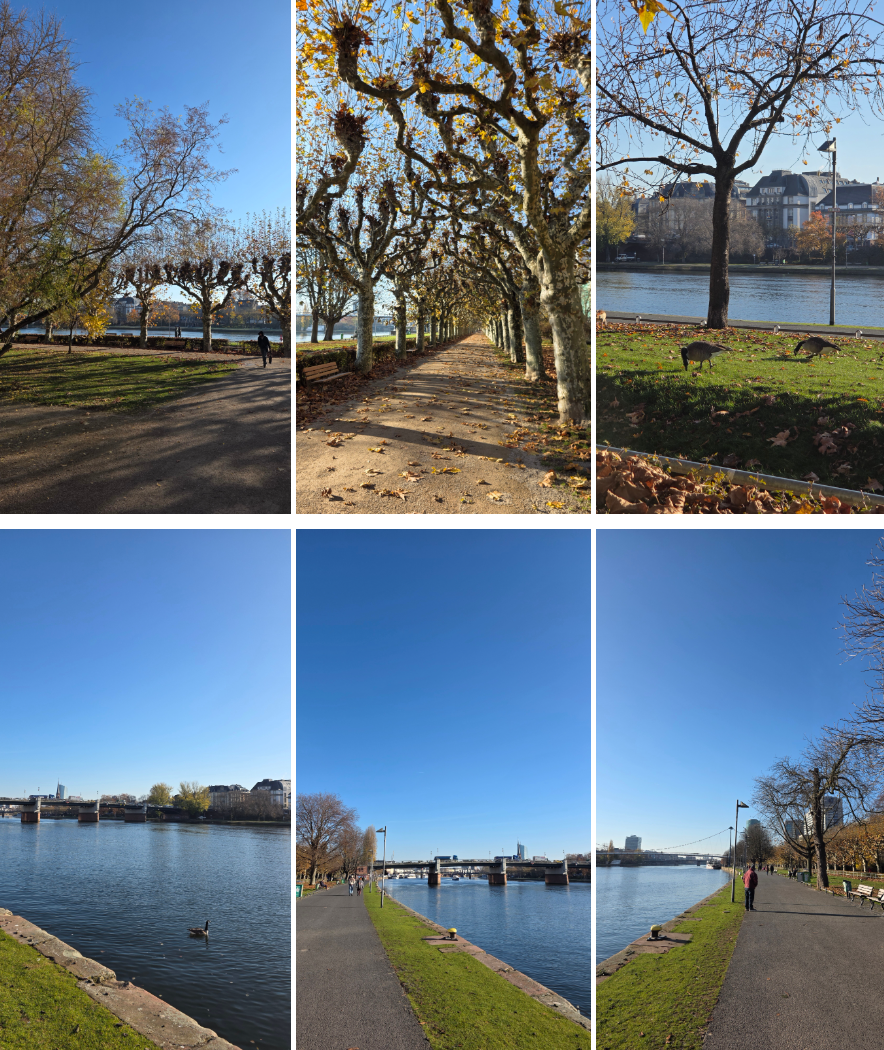 프랑크푸르트 오전 도보 산책 : 마인타워 오픈런/유로타워/마인강 산책