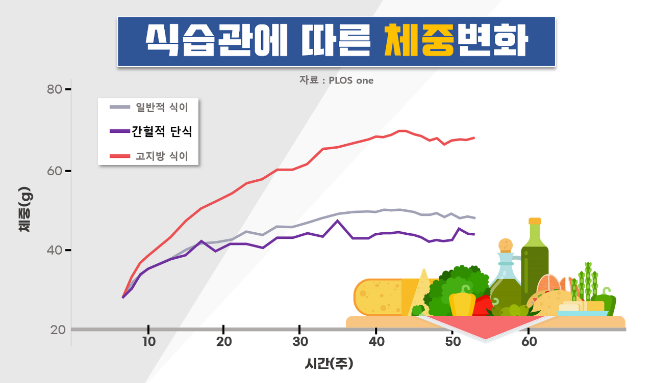 간헐적단식-체중변화
