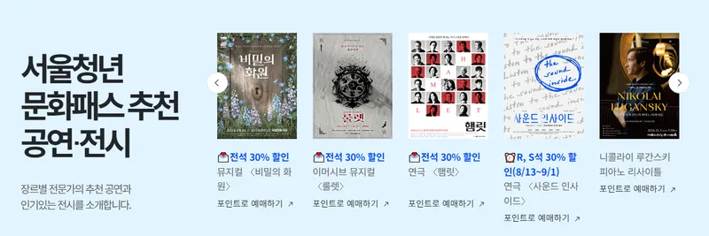 서울시 청년문화패스