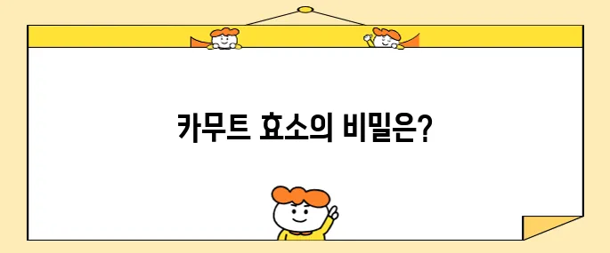 카무트 효소의 놀라운 효능과 효과