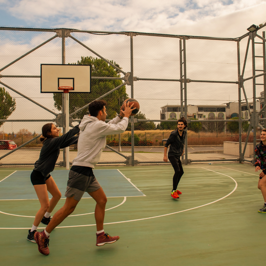 KBL 프로 농구 챔피언 결정전 중계 방송 고화질 시청 방법