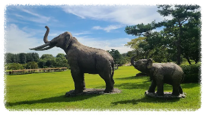 연천전곡리유적