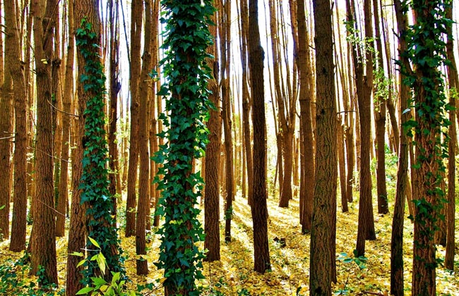 경주 가을 여행