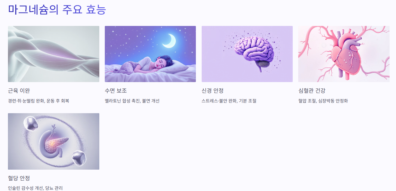 마그네슘 효능