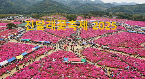 진달래꽃축제 2025