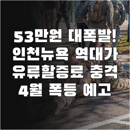 인천-뉴욕 왕복 유류할증료 53만원…..